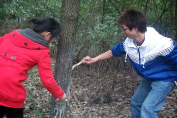 青志队员粉刷石灰粉